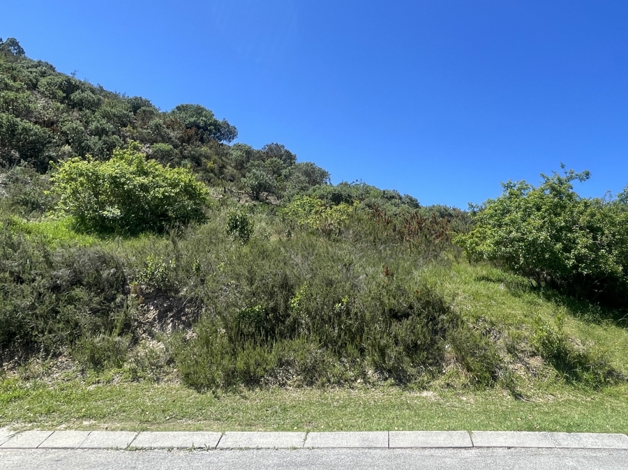 0 Bedroom Property for Sale in Green Pastures Western Cape